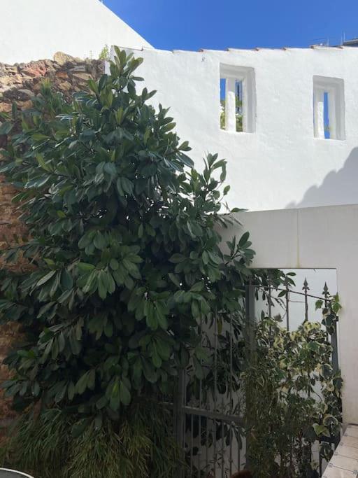 Old Town Oasis Holiday home